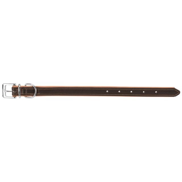 Active collier pour chien Comfort en cuir
