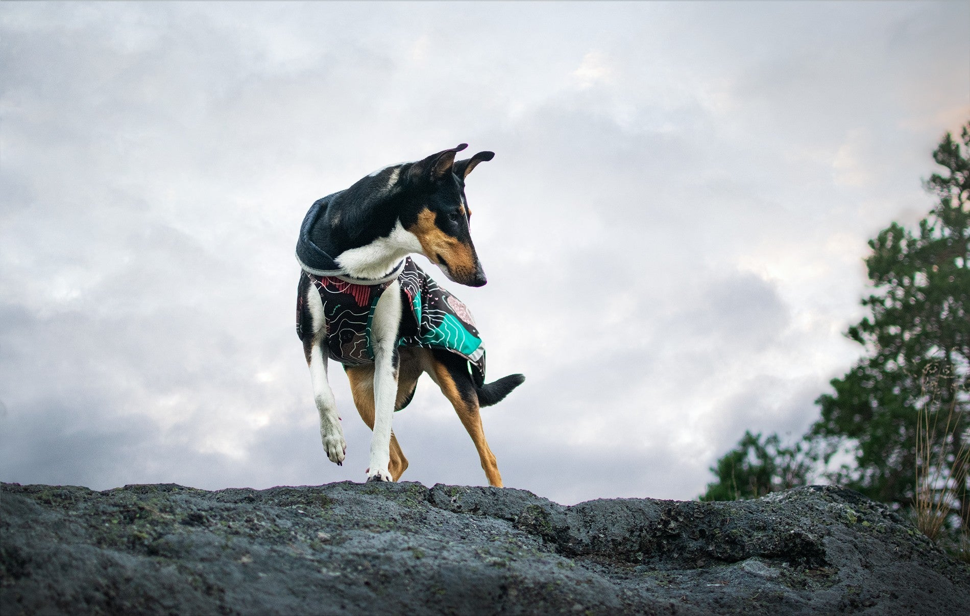 Pomppa Kevyt Manteau impermeable pour chien