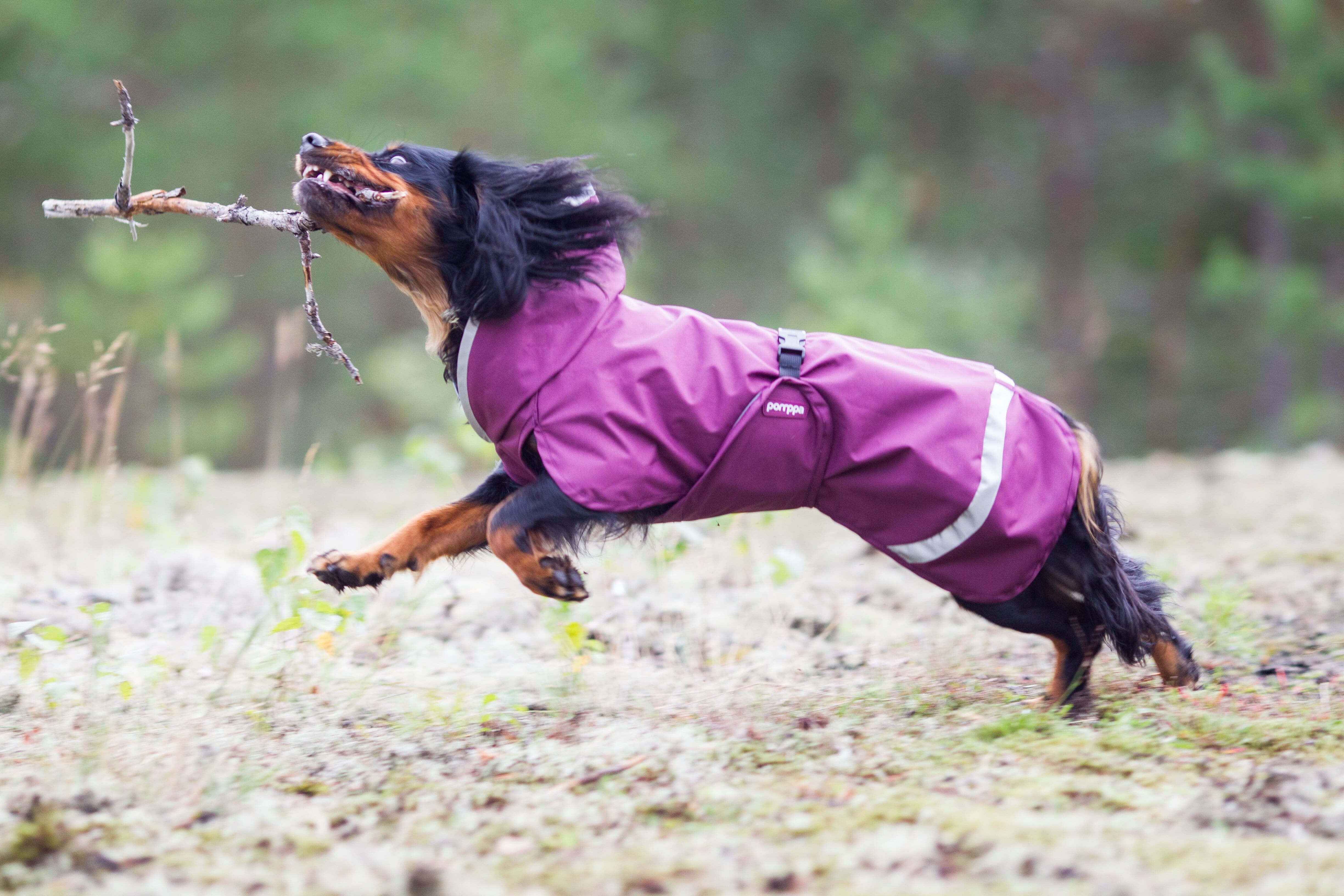 Pomppa Kevyt Manteau impermeable pour chien