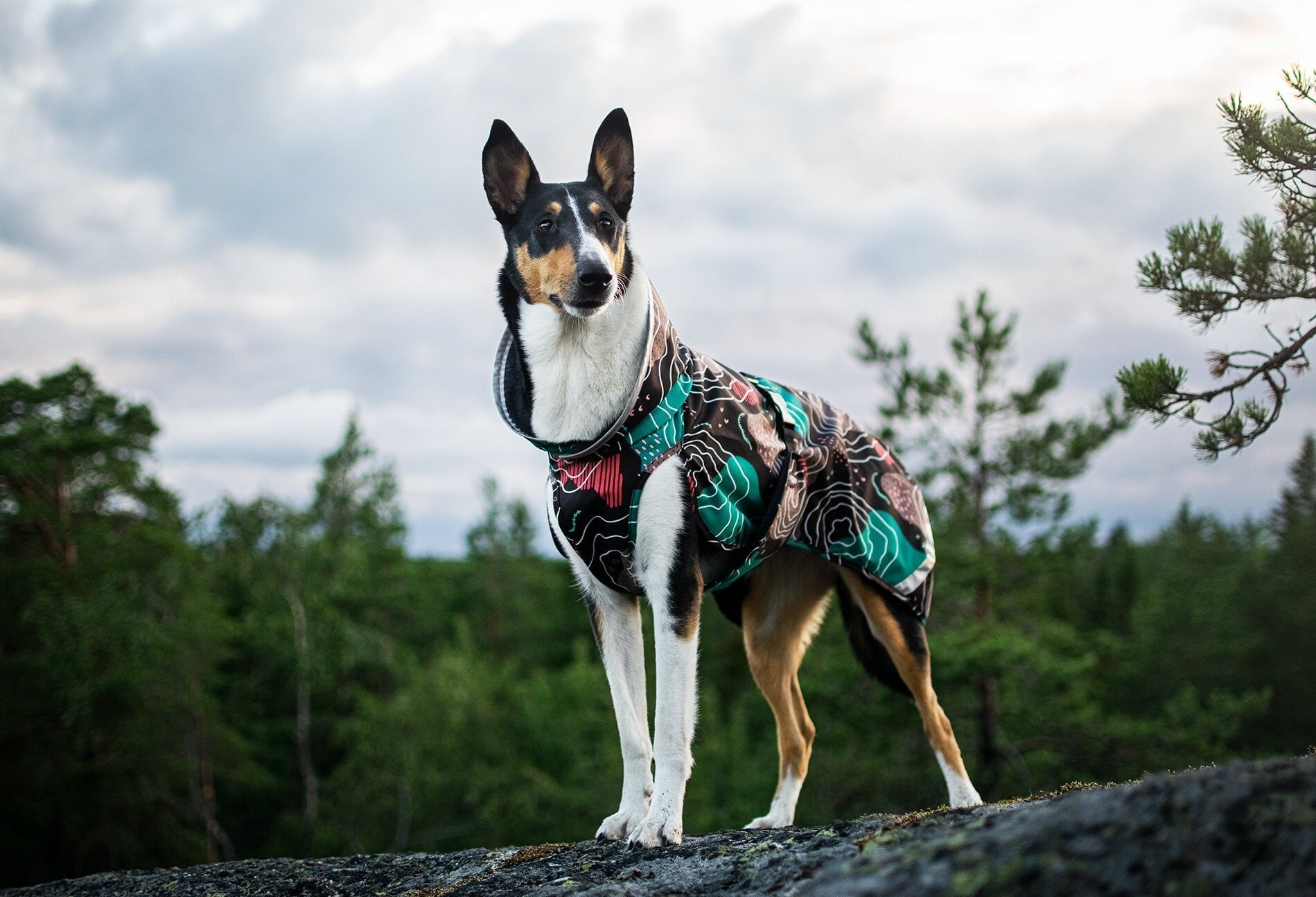 Pomppa Kevyt Manteau impermeable pour chien