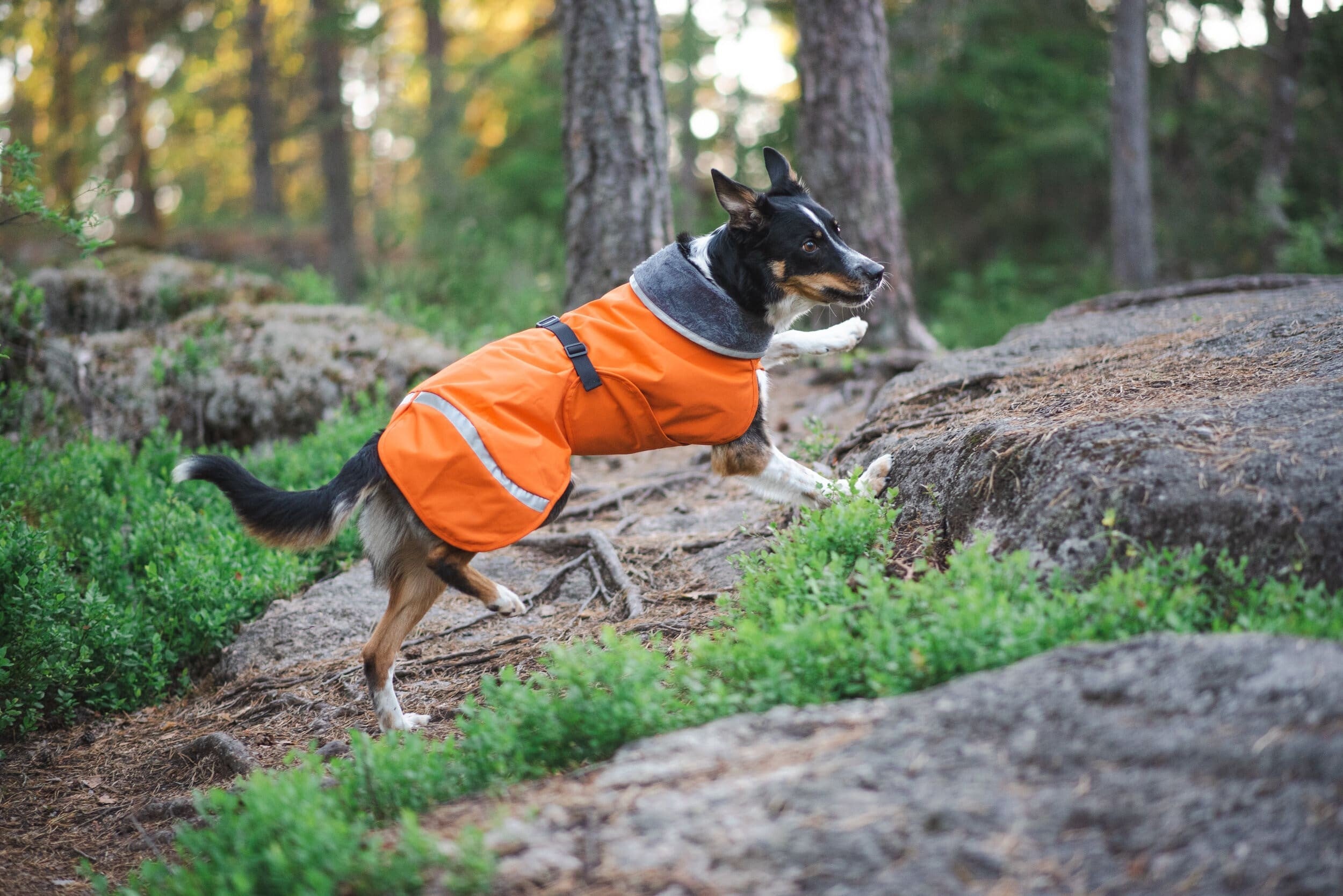 Pomppa Kevyt Manteau impermeable pour chien
