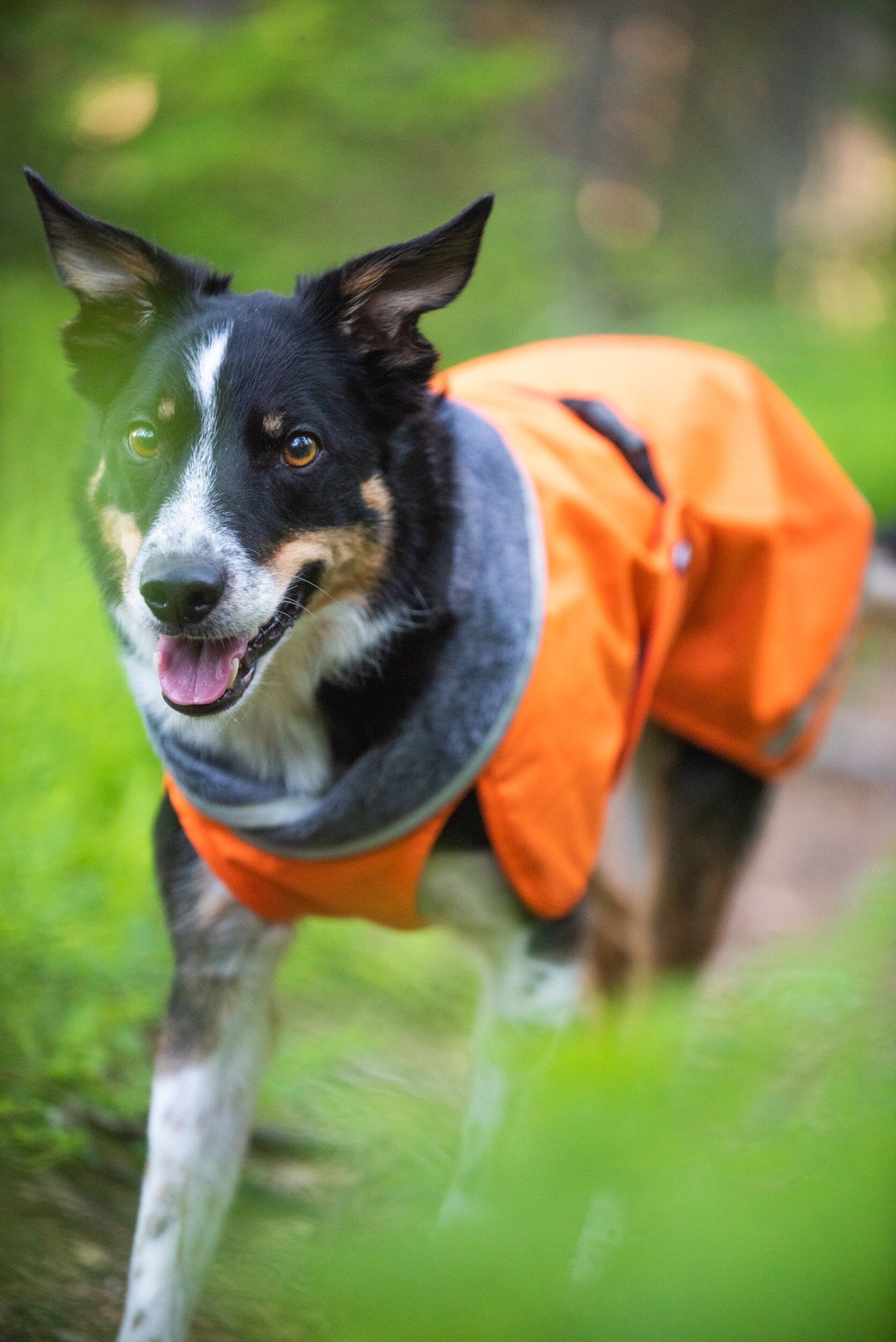 Pomppa Kevyt Manteau impermeable pour chien