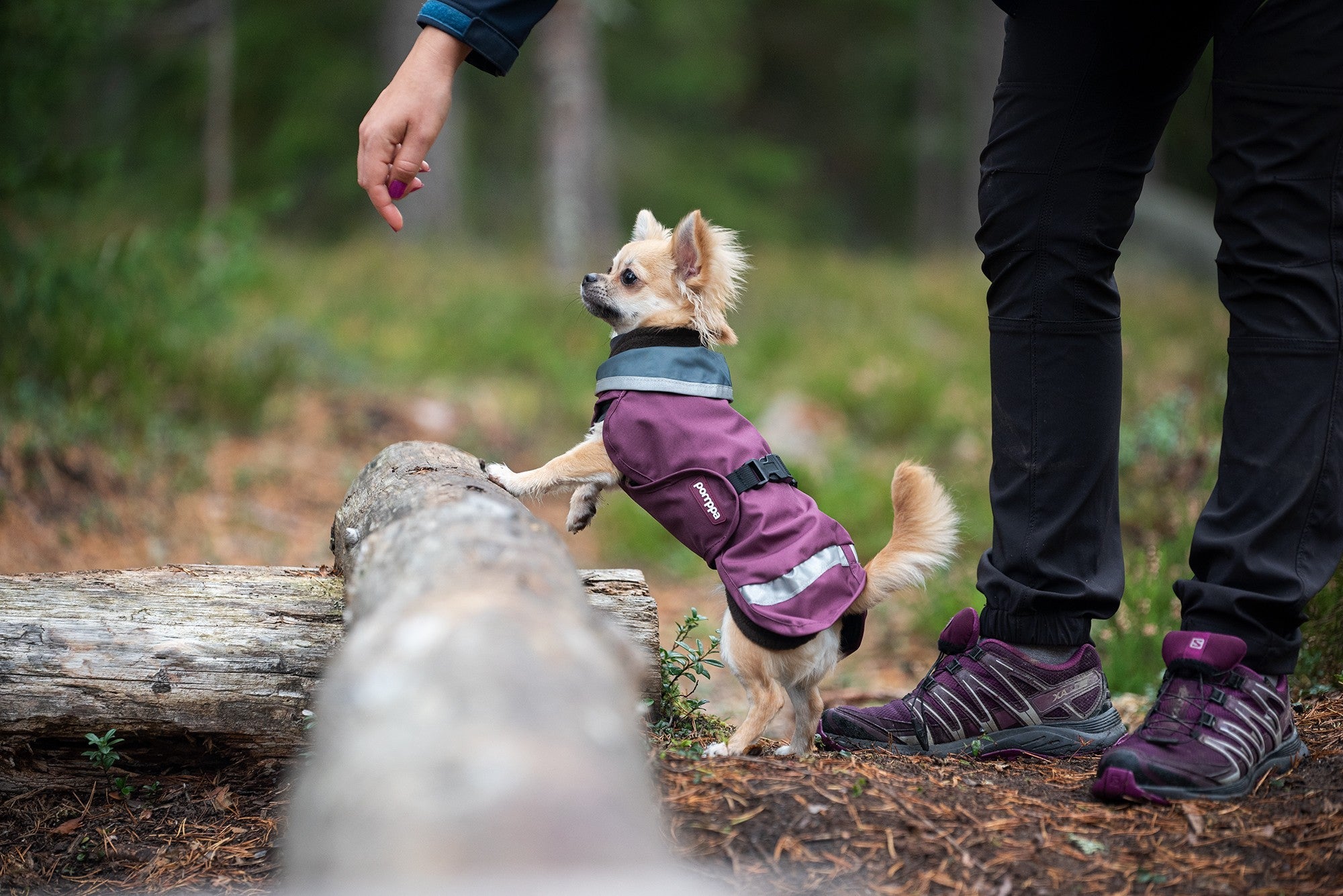 Pomppa Sade Manteau impermeable pour petit chien