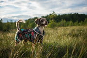 Pomppa Sade Manteau impermeable pour petit chien