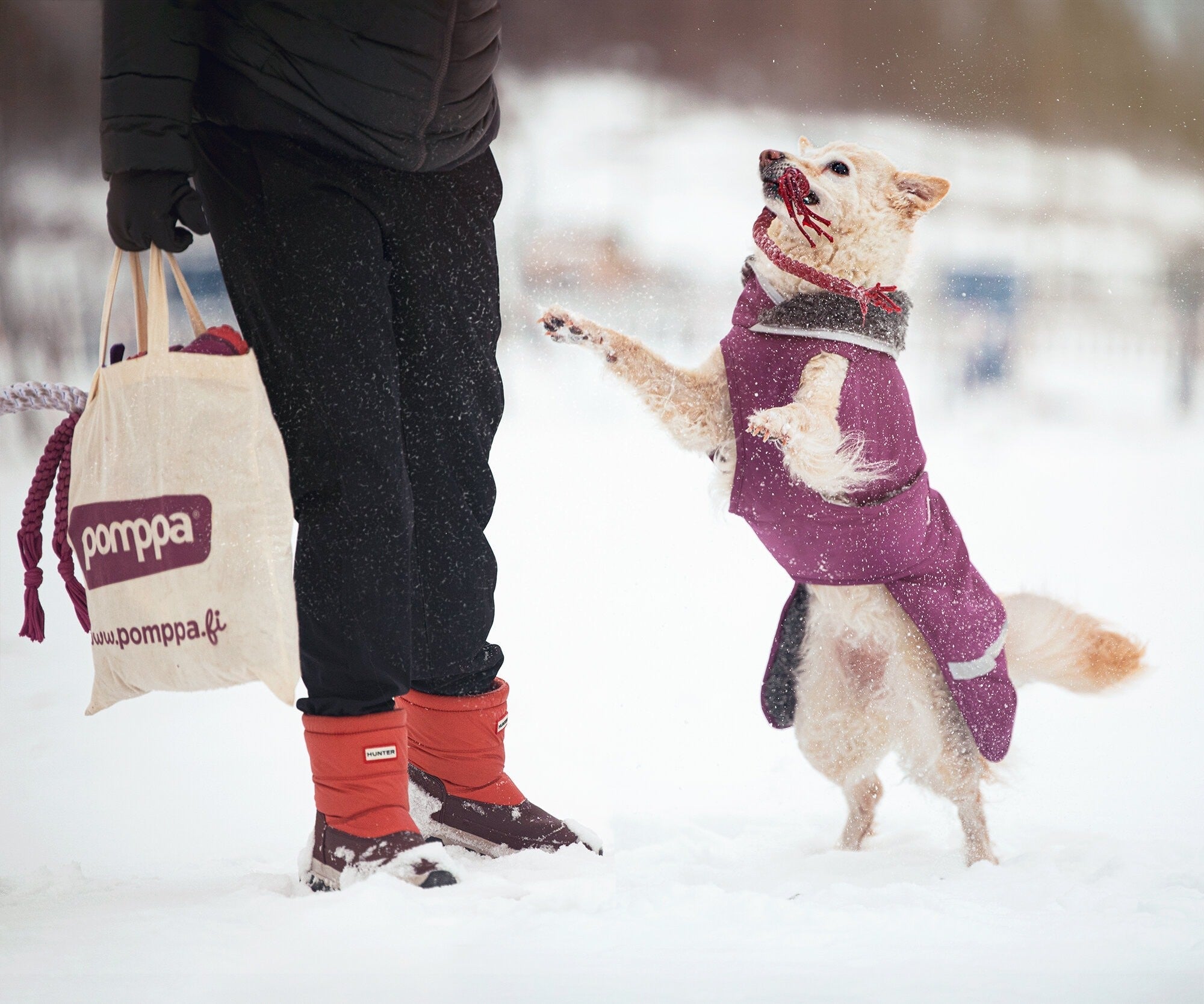 Pomppa Toppa manteau impermeable doublé pour chien Moyen