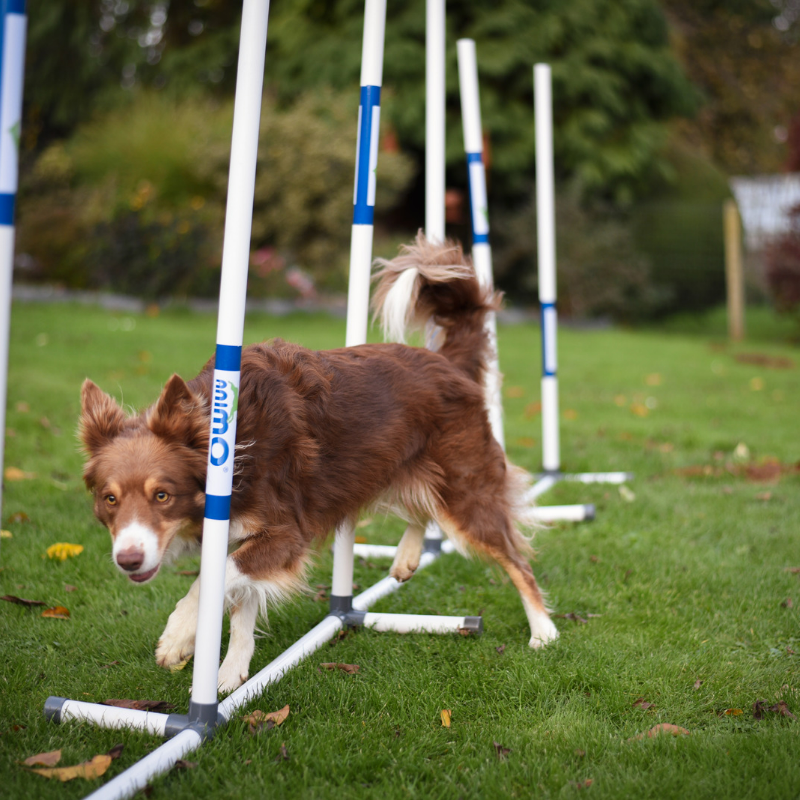 Slalom d'entrainement PVC