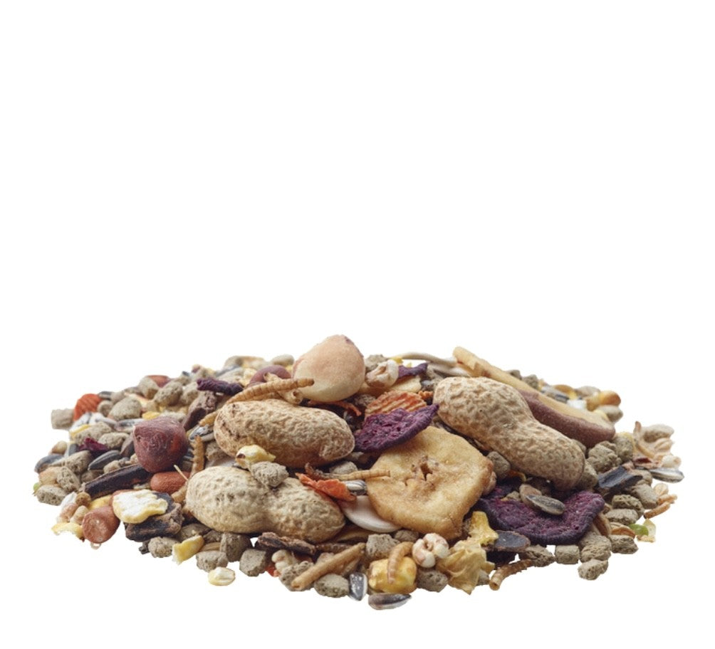 VERSELE LAGA Nature Nourriture pour écureuils 700g
