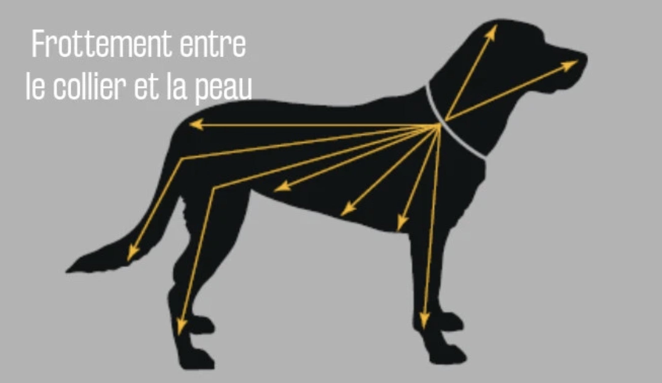 Scalibor Collier anti tiques grand chien