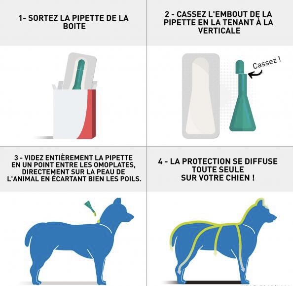 Frontline Combo - Pipettes 2en1 antiparasitaires pour chiens