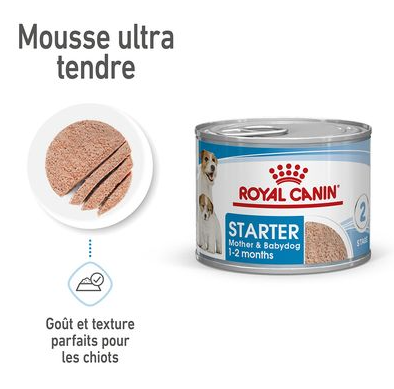 Hn Chien Motherbaby Starter