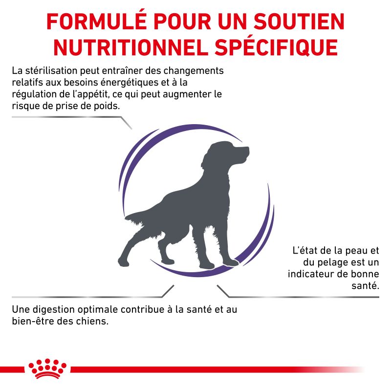 Royal Canin Ehn Chien Neutered Adulte Medium