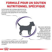 Royal Canin Ehn Chien Small Dental