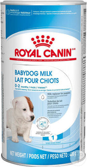 Babydog Lait Chiot