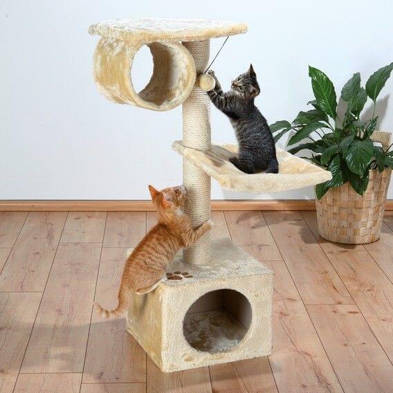 Arbre a chat San Fernando