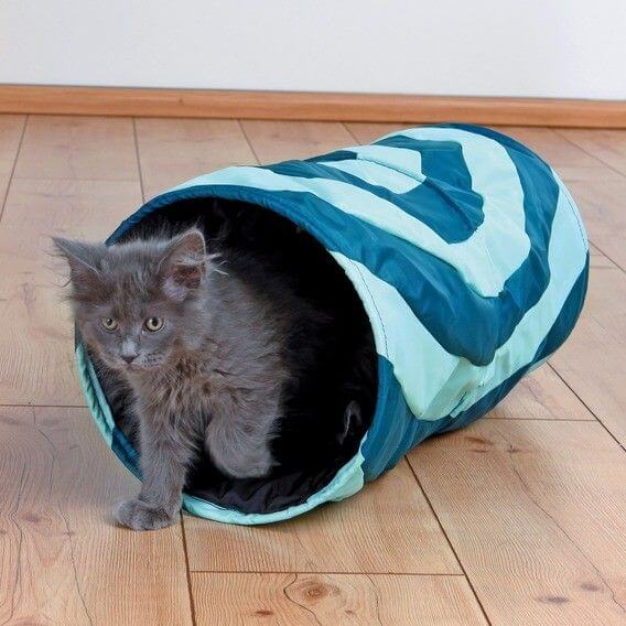 Tunnel de jeu pour chat