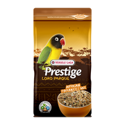 Grandes Perruches African