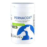 Pernacox Chat & Chien