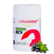 Lithamine Chat