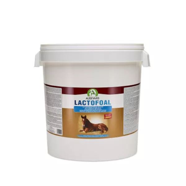 LACTOFOAL 2,2 KG