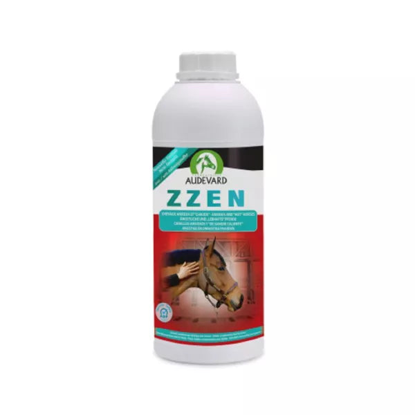 ZZEN 1 L