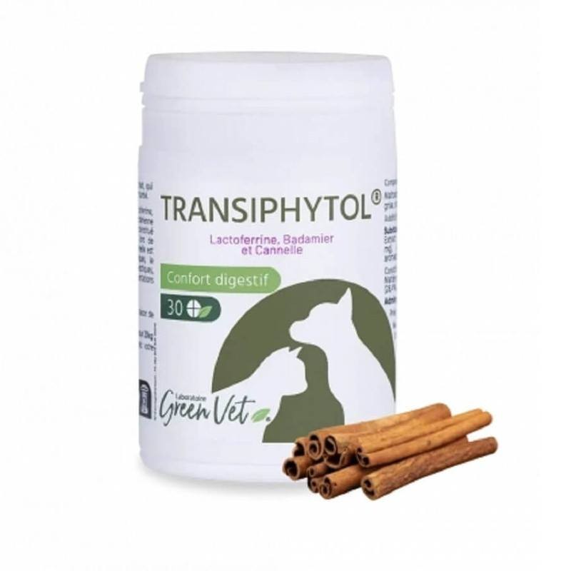 Transiphytol Chat & Chien