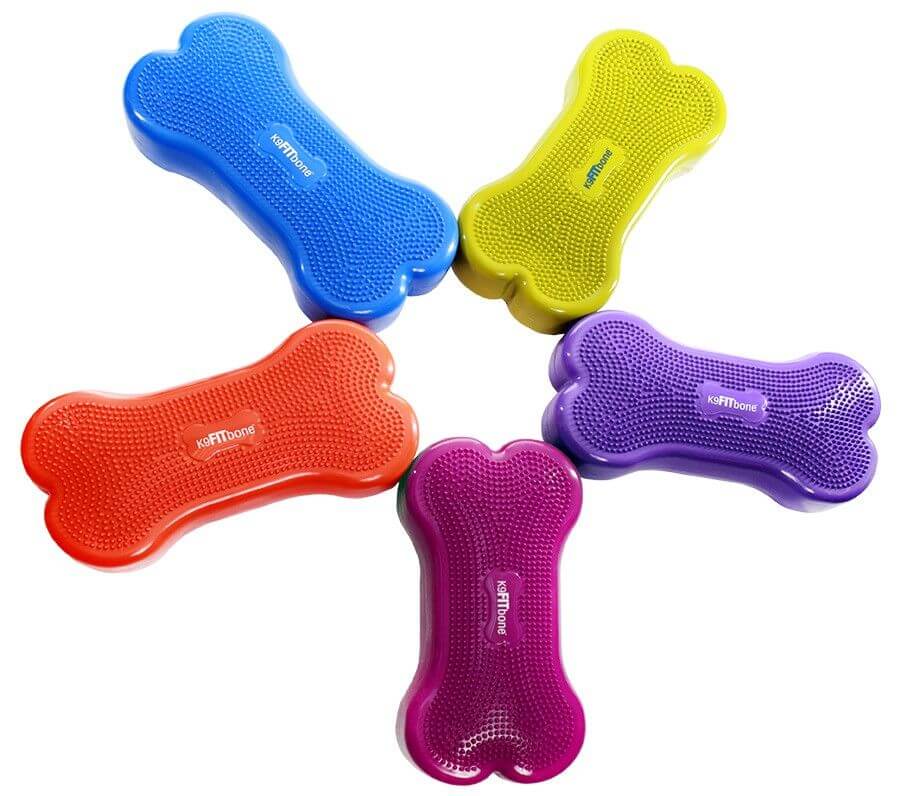 FitPaws K9 Fit bone
