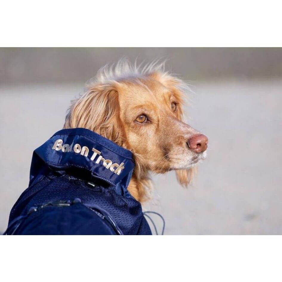 Back On Track Manteau filet bleu pour chien