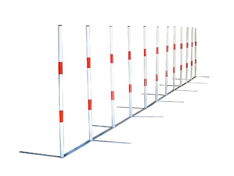 Agility Run Slalom couloir d'entrainement