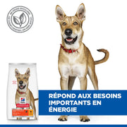 Hill's SP Chien - Croquettes Performance Adult Poulet - 14kg