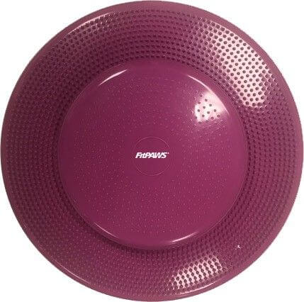 FitPaws Balance disc
