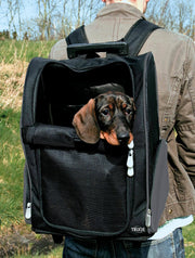 Trolley