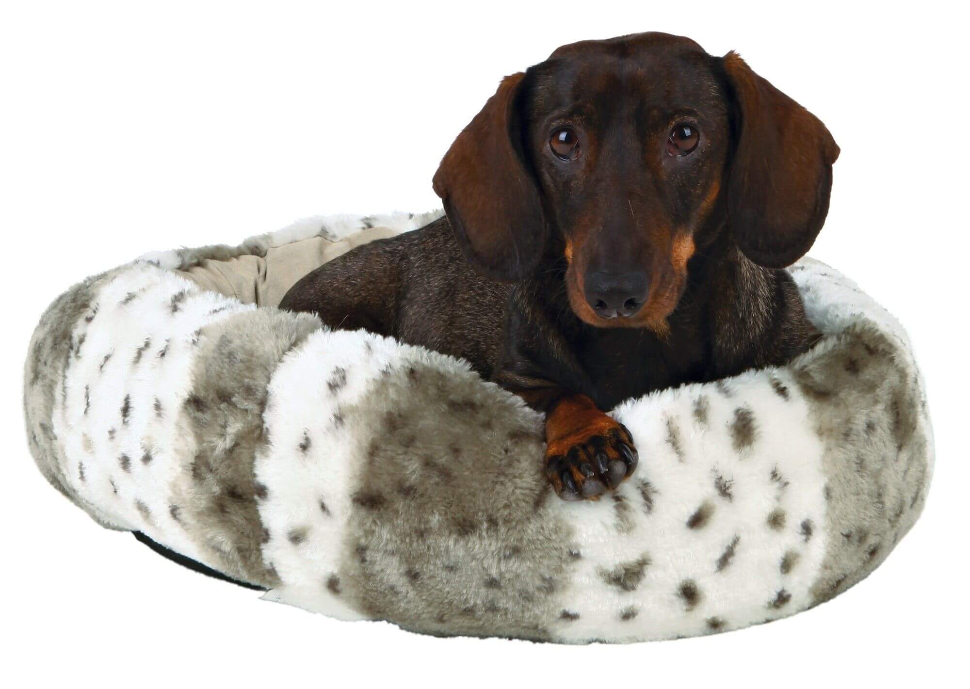 Lit pour chien Leika