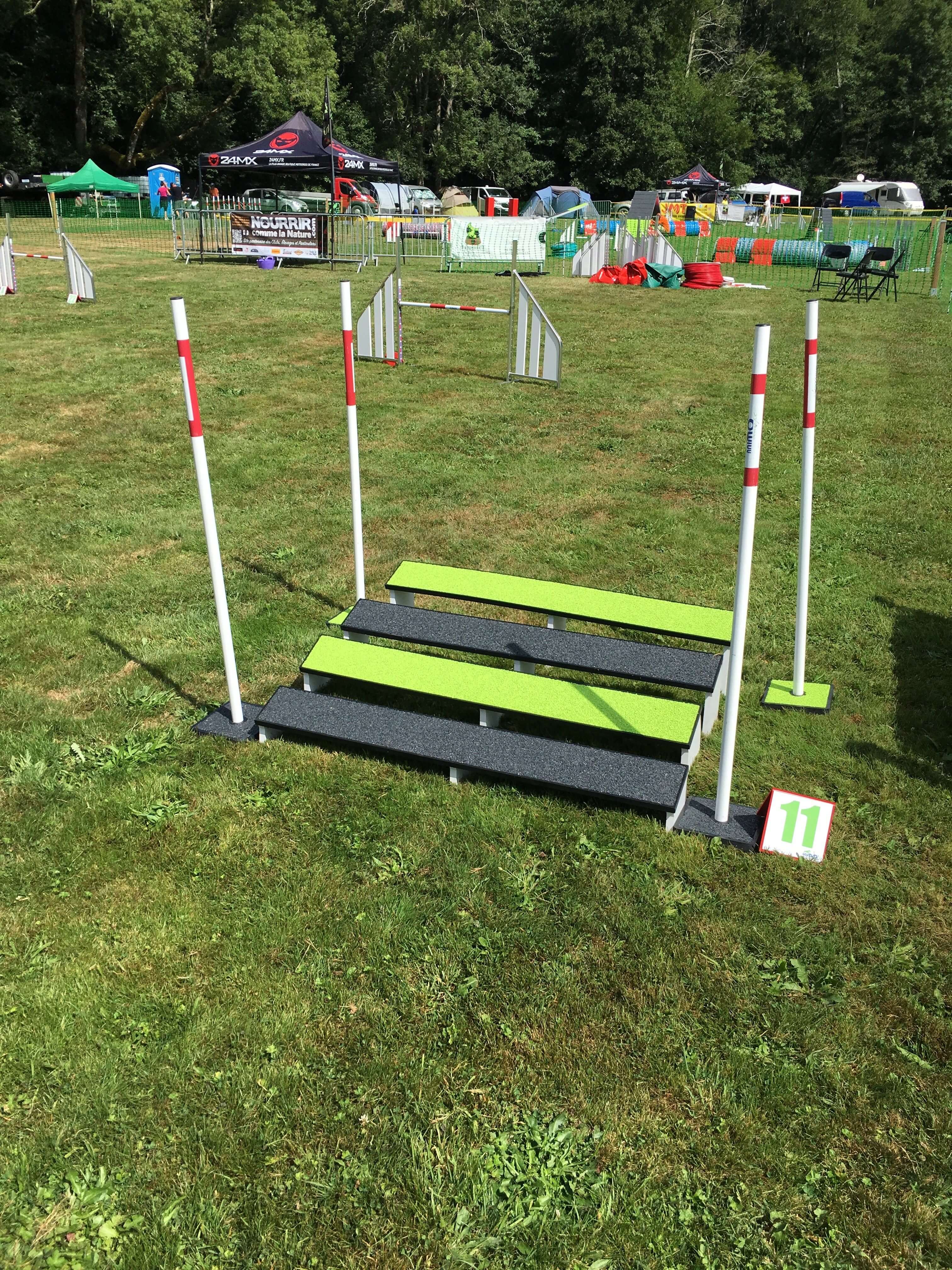 Elite Saut en longueur en tartan pour agility