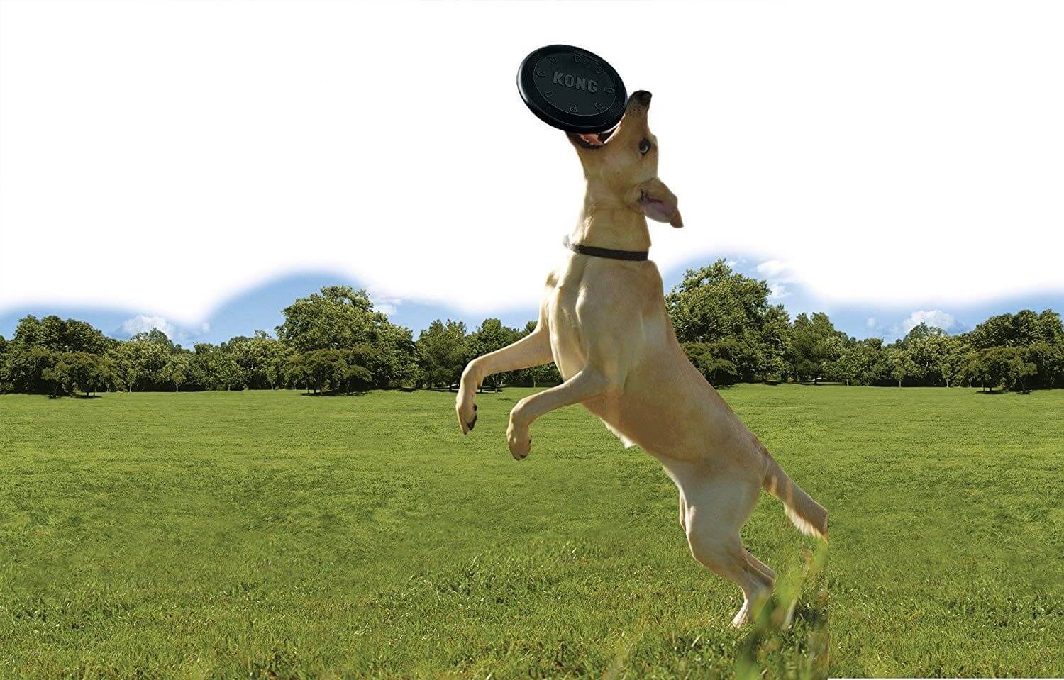 KONG frisbee flyer extreme