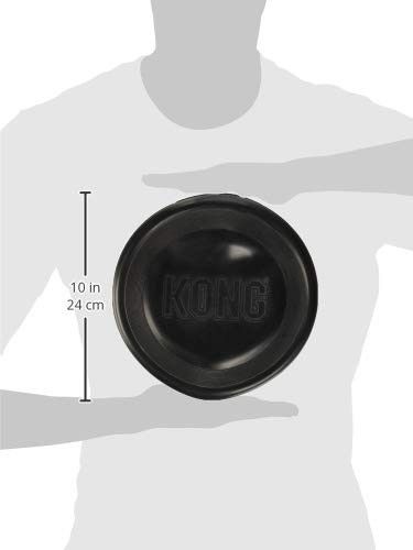 KONG frisbee flyer extreme