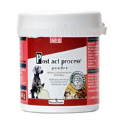 Post Act Process Chat Chien