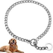 collier chien acier