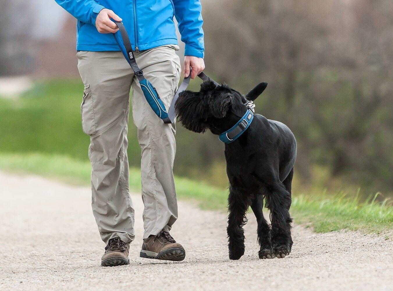 Dog Copenhagen Laisse Urban Trail