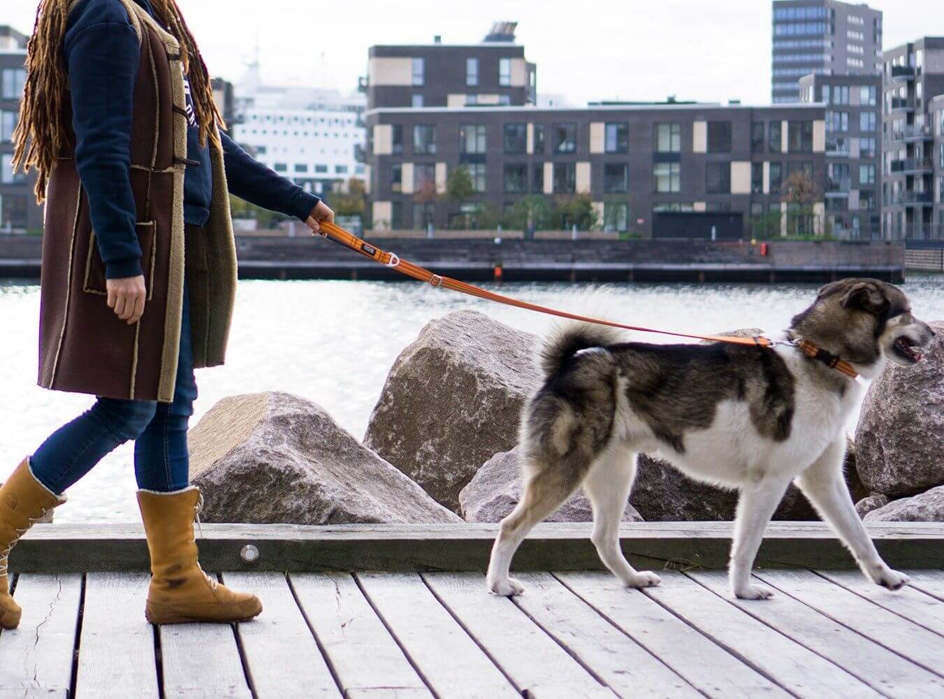 Dog Copenhagen Laisse Urban Freestyle