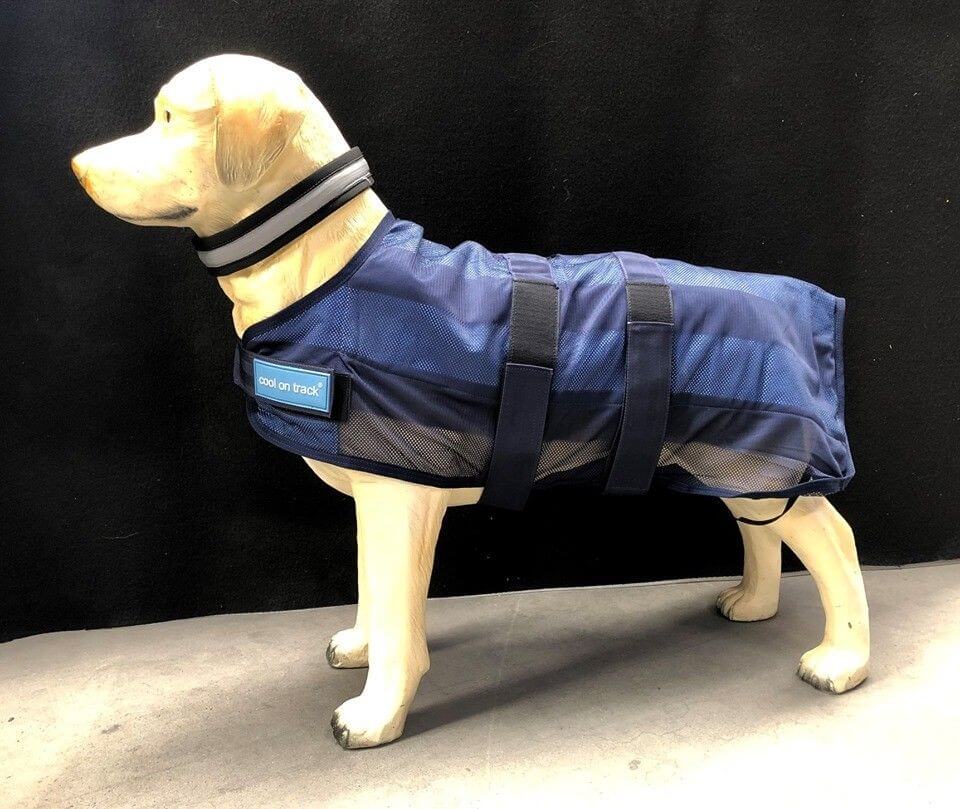 Back On Track Manteau rafraichissant anti uv Cool On Track