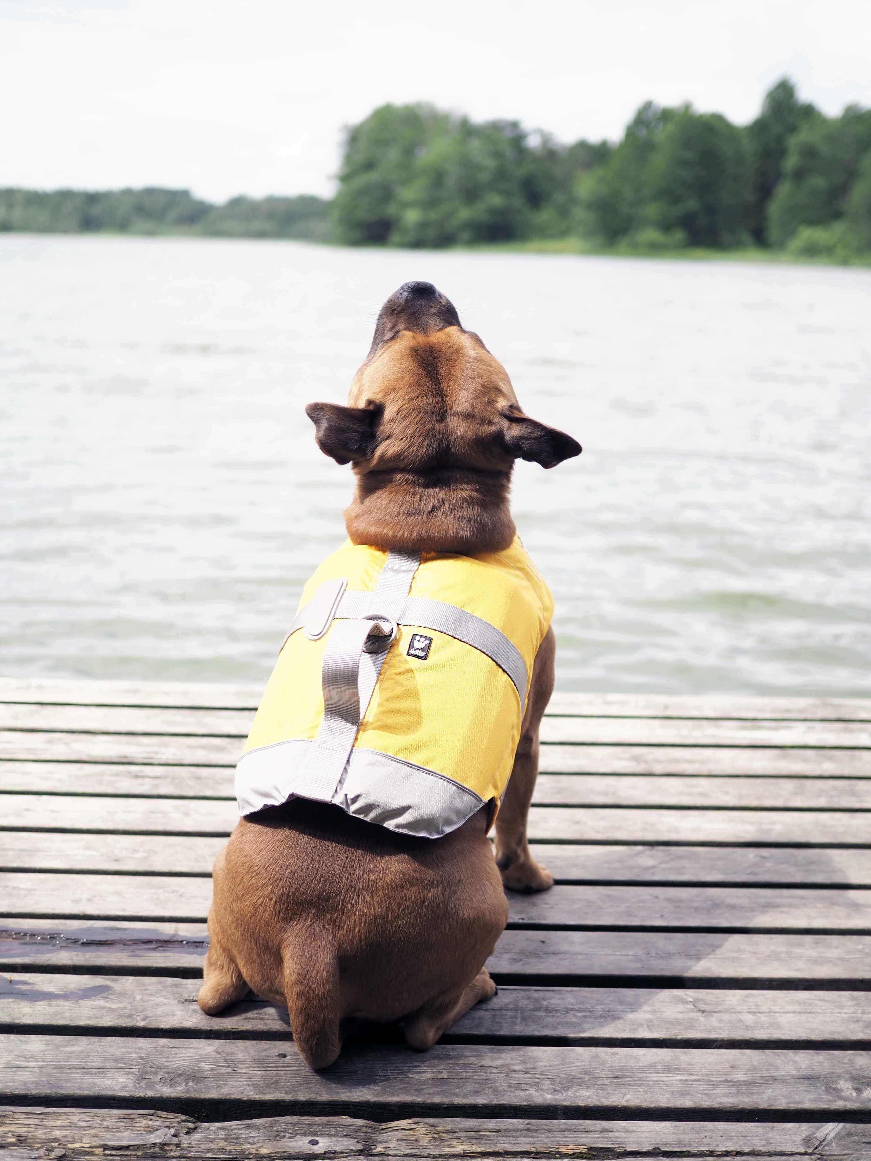 Hurtta Gilet de sauvetage flottant pour chien