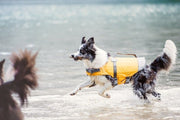 Hurtta Gilet de sauvetage flottant pour chien