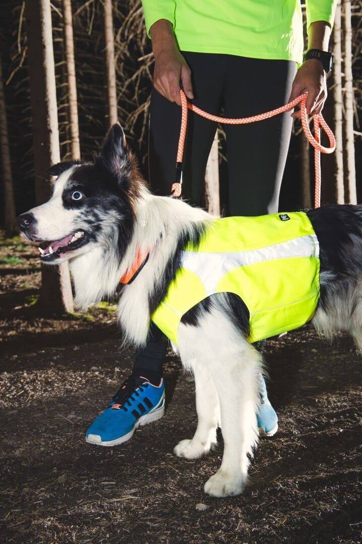 Hurtta Veste de visibilite pour chien