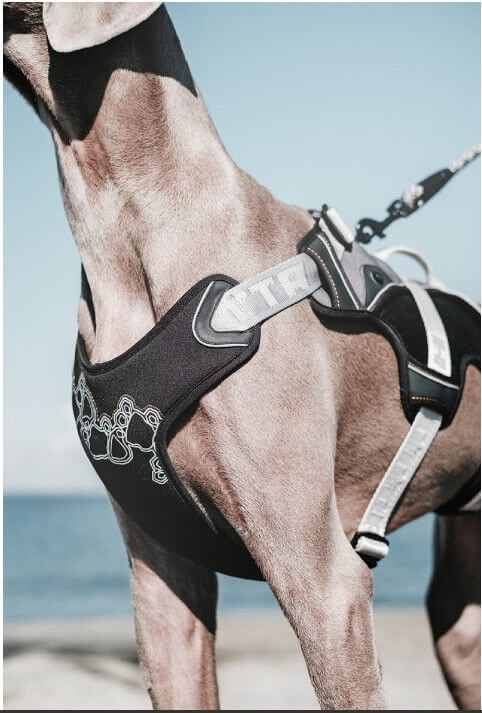 Hurtta Harnais de randonnée trail pour chien