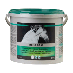 EQUISTRO MEGABASE 3 KG