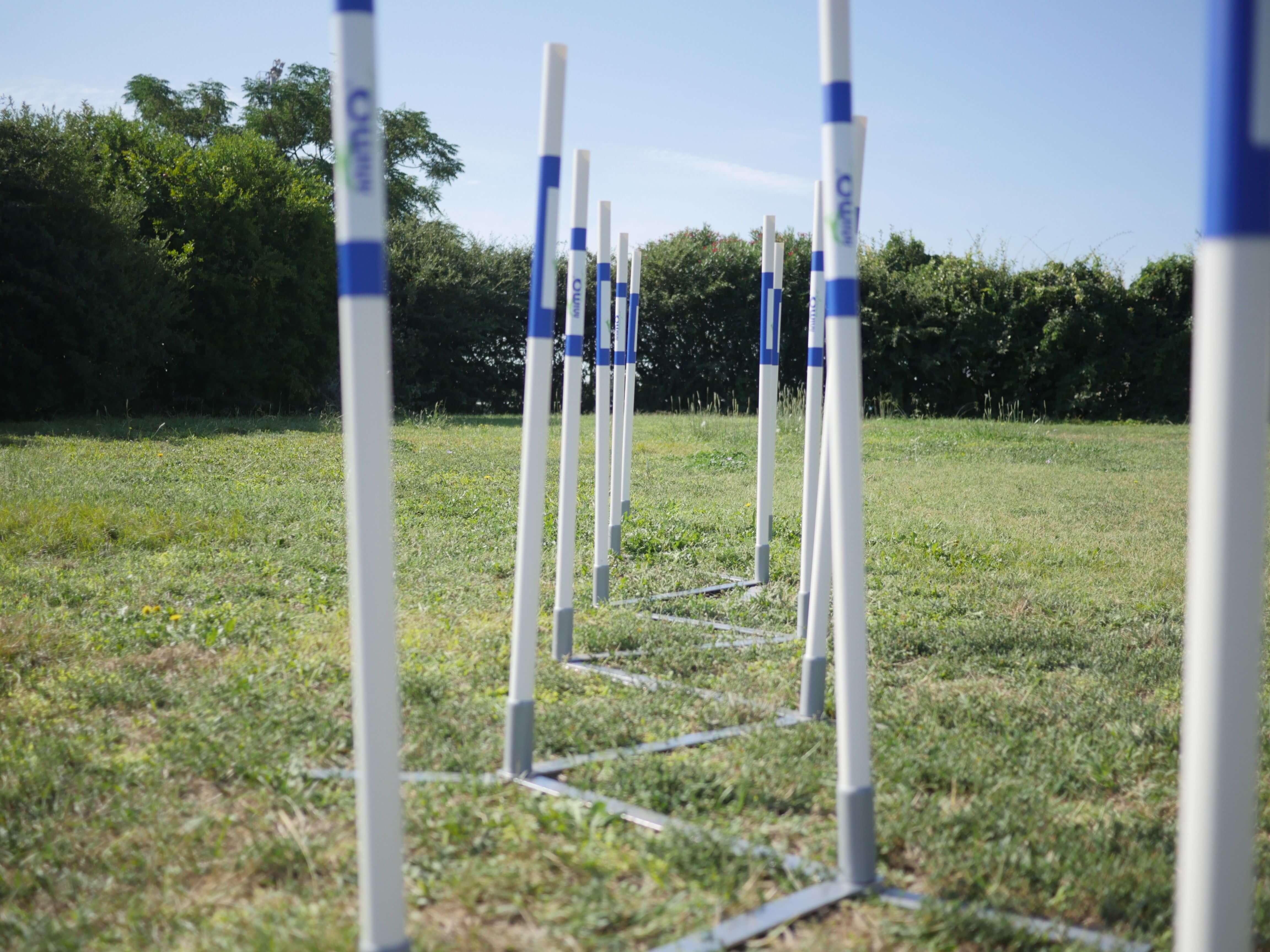 Agility Run Slalom couloir d'entrainement