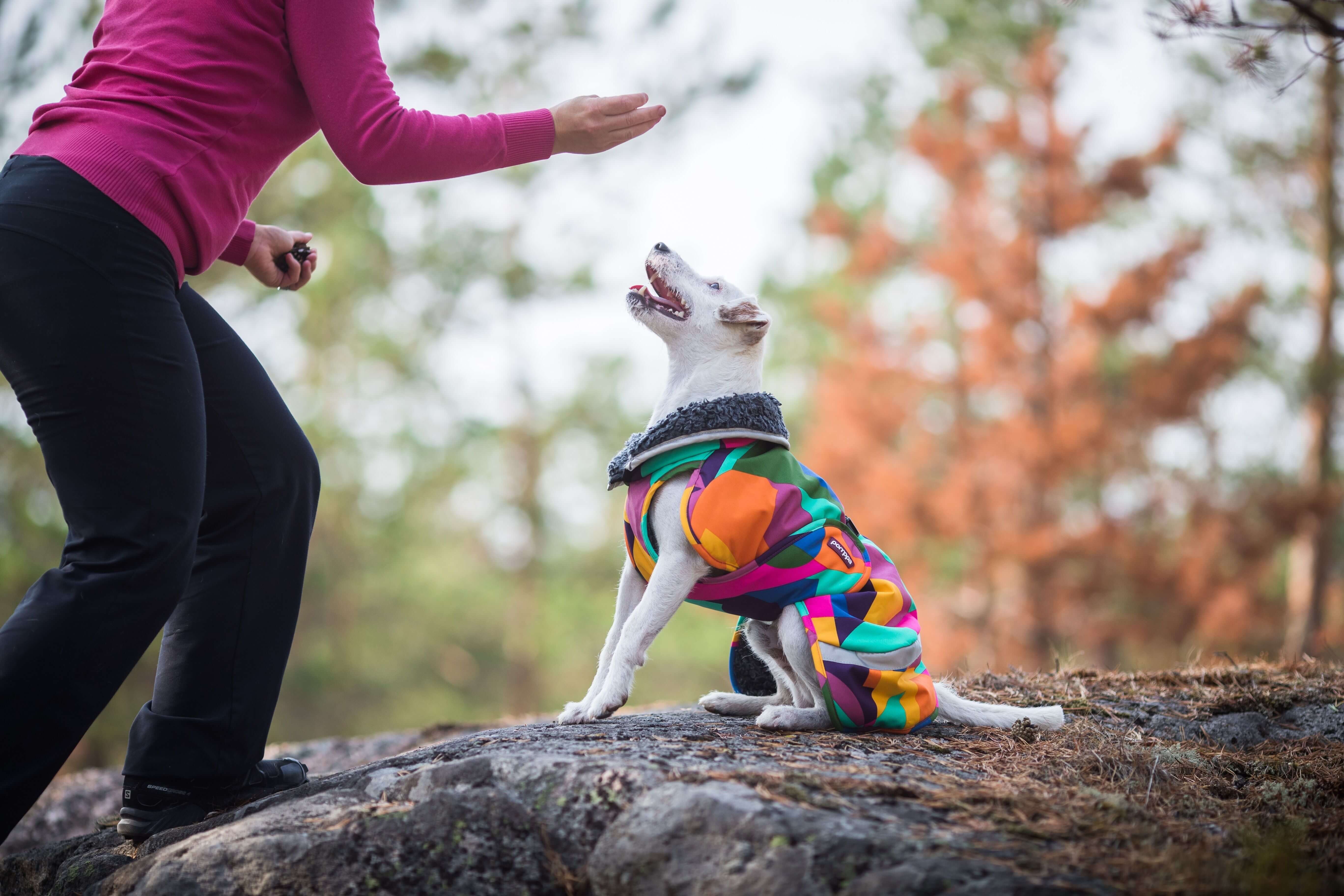 Pomppa Toppa manteau impermeable doublé pour chien Moyen