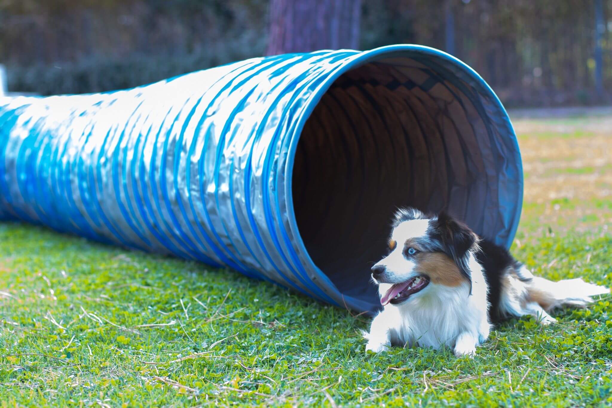 Initiale Tunnel de competition 100% antiderapant