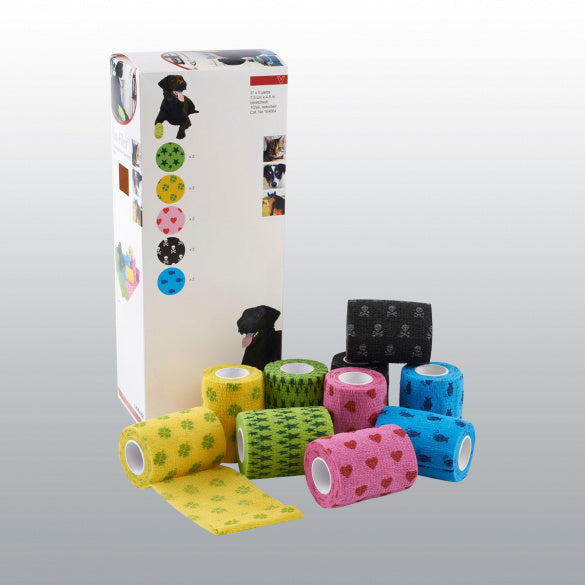 BANDE FUN FLEX 10 CM BT10