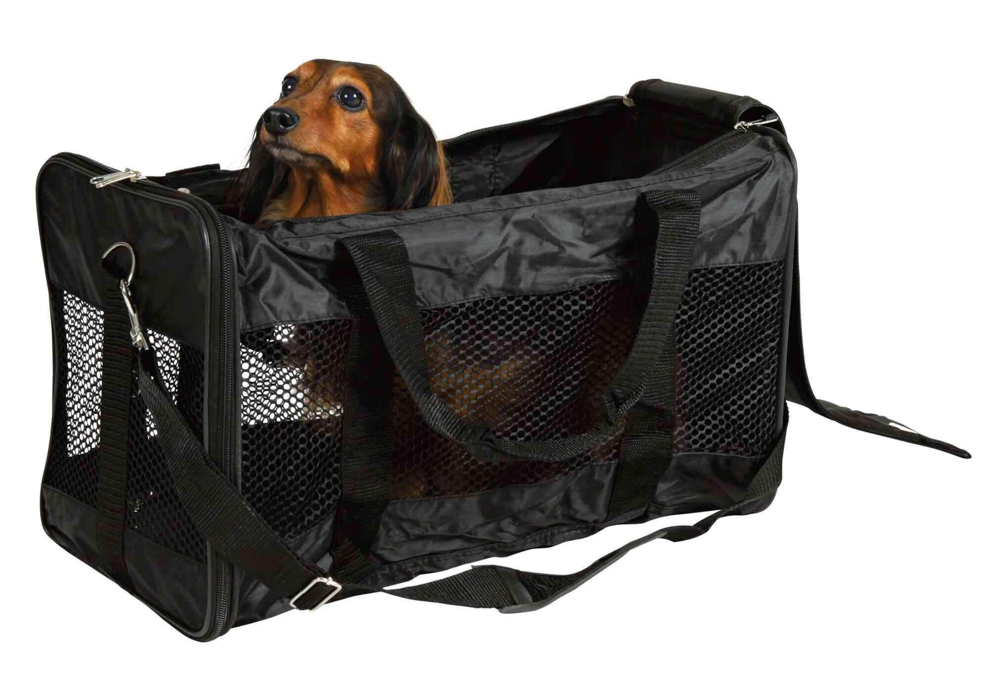 Sac de transport Ryan